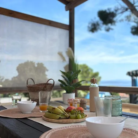 Campsite Le Mediterranee Hyeres